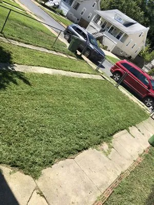 Edwards Lawn Services Logo