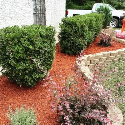 Edwards Lawncare and Landscaping Logo