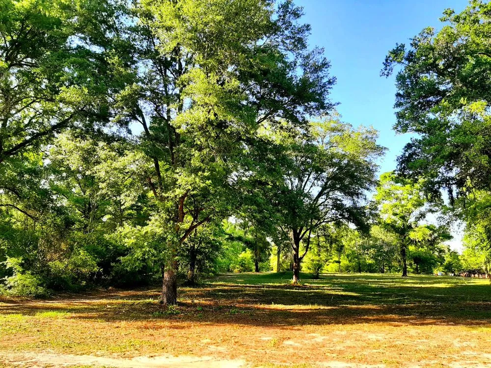 Custom lawn care service in Trenton, FL - Edwards Lawncare And More