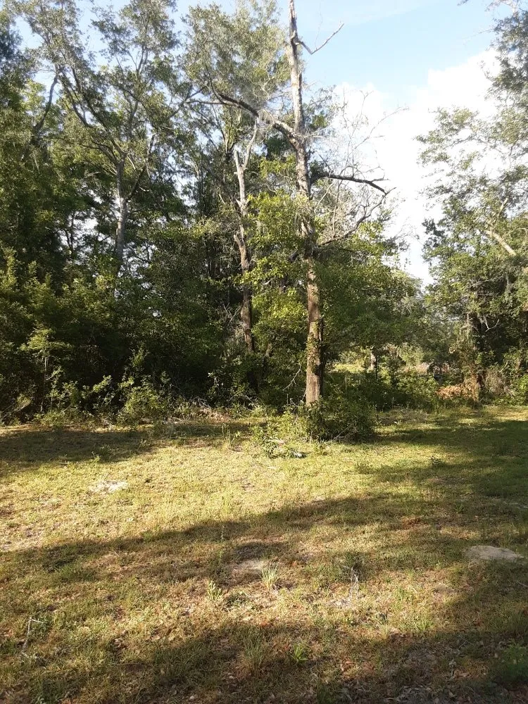 Trusted yard maintenance for residential properties across Trenton, FL - Edwards Lawncare And More