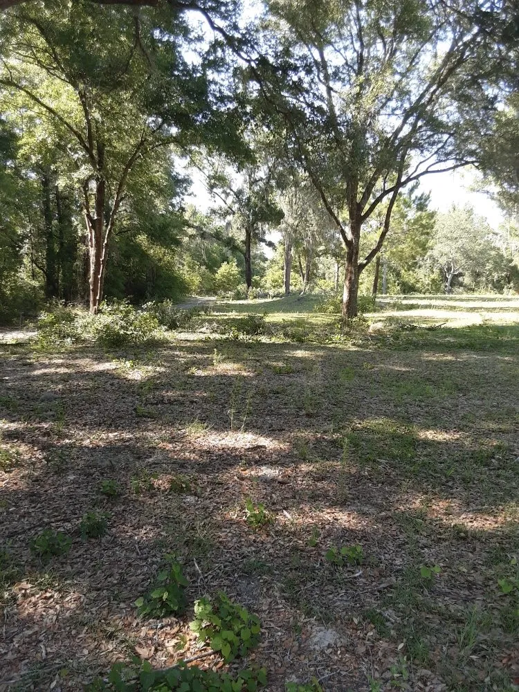 Top-rated yard maintenance for homes across Trenton, FL - Edwards Lawncare And More