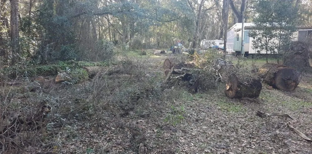 Reliable garden landscaping experts serving Trenton, FL - Edwards Lawncare And More