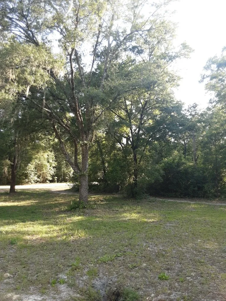 Reliable yard cleanup service in Trenton, FL by Edwards Lawncare And More