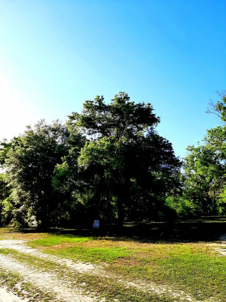 Local landscaping services in Trenton, FL - Edwards Lawncare And More