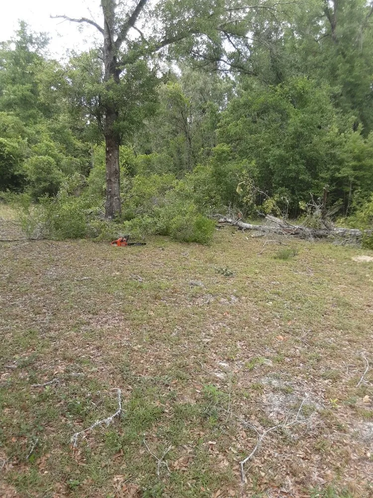 Reliable residential landscaping in Trenton, FL - Edwards Lawncare And More