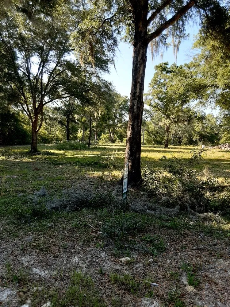 Expert garden landscaping with custom design across Trenton, FL - Edwards Lawncare And More