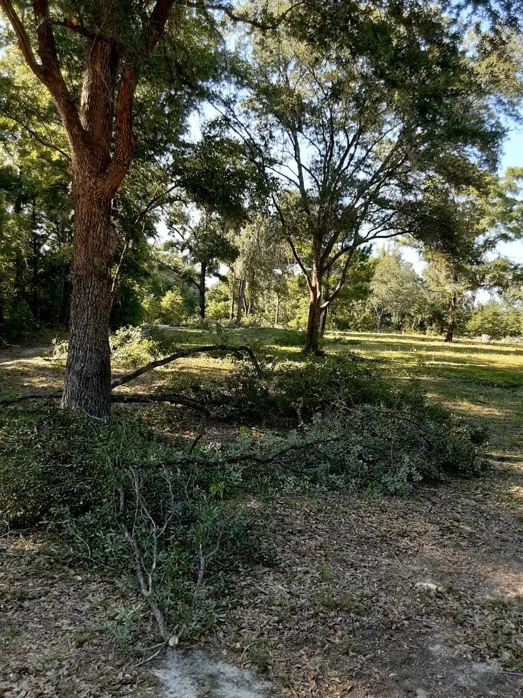 Trusted landscape installation for homes across Trenton, FL - Edwards Lawncare And More