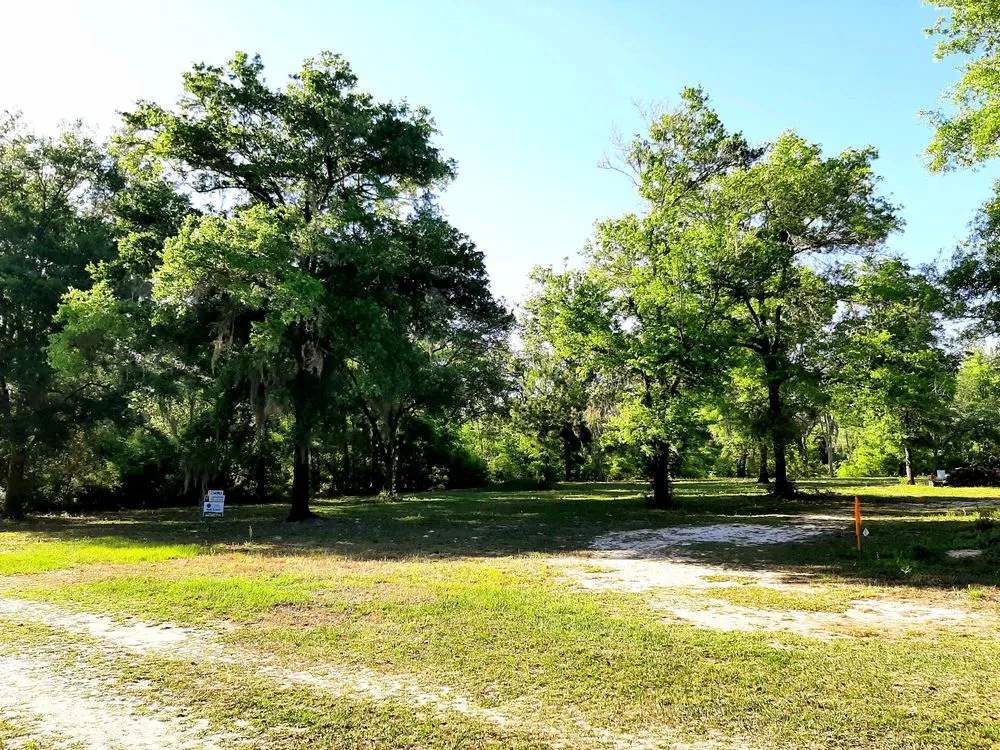 Top-rated residential landscaping for homes across Trenton, FL - Edwards Lawncare And More