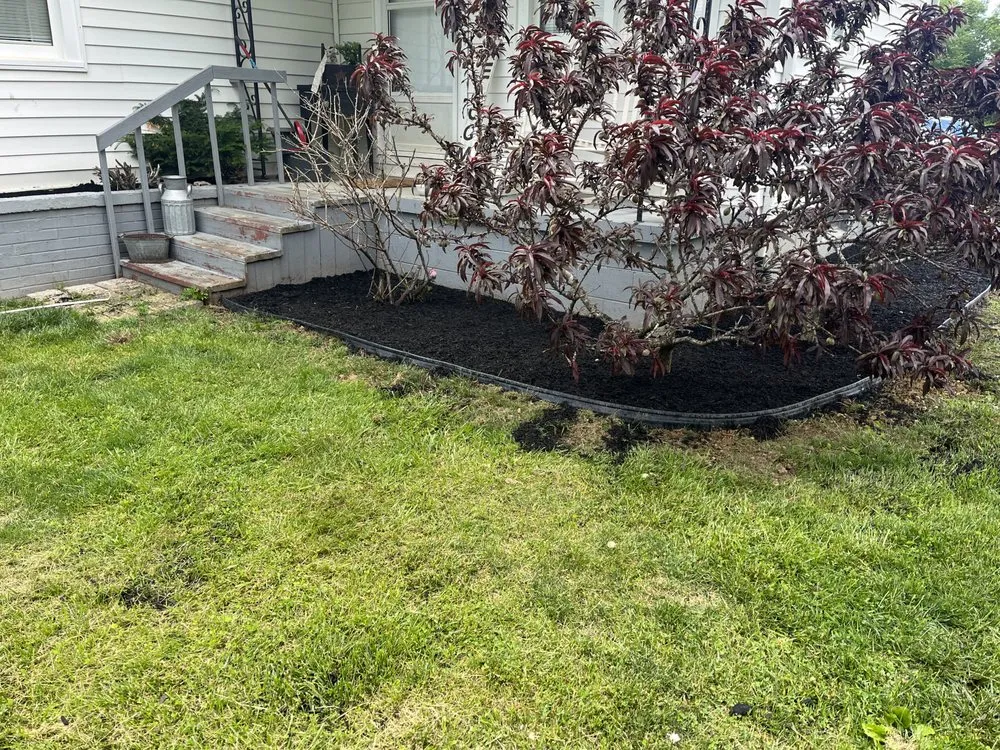 Professional landscape installation in Annville, KY by Edwards Lawncare