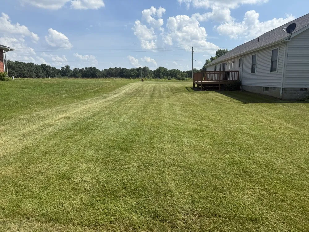 Affordable yard cleanup service experts serving Herrin, IL - Edwards Lawncare