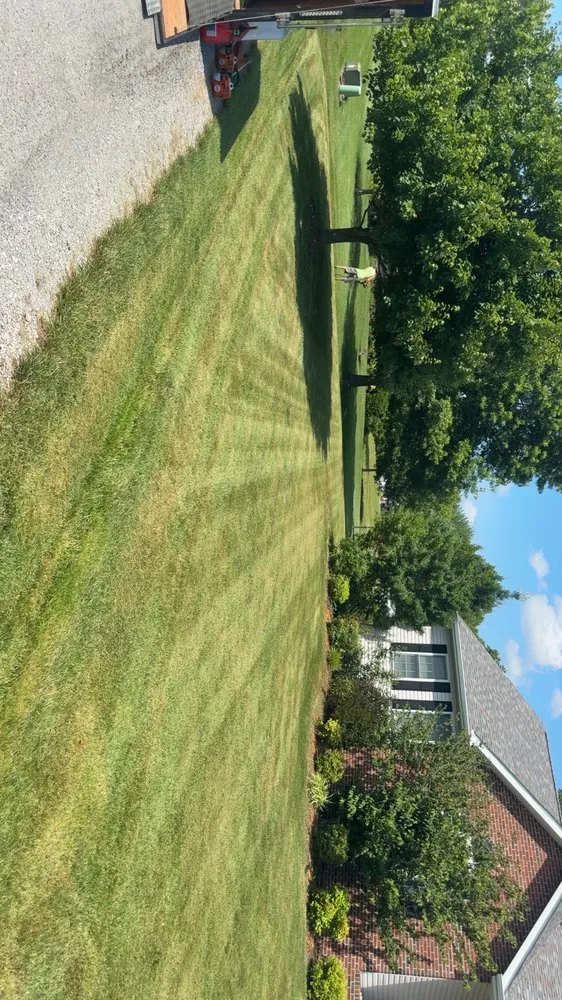 Expert lawn mowing service for residential properties in Herrin, IL by Edwards Lawncare