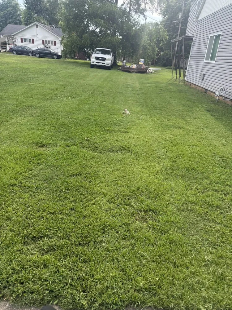 Top-rated lawn care service experts serving Herrin, IL - Edwards Lawncare
