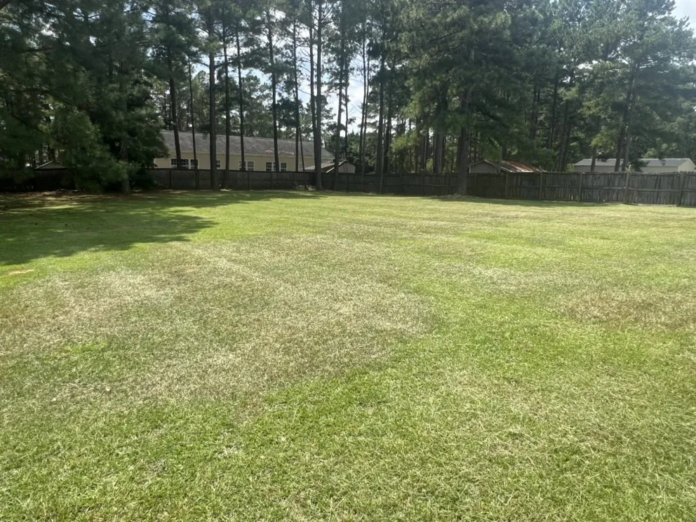 Custom lawn mowing service in Fayetteville, NC by Edwards Maintenance & Lawn Care