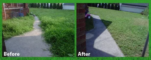 Top-rated residential landscaping for beautiful yards in McAllen, TX by Edward's