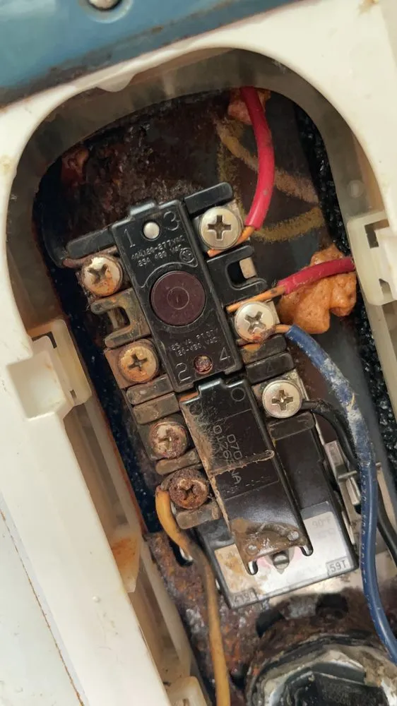 Trusted yard cleanup service for outdoor upgrades in Clanton, AL by Edwards Services