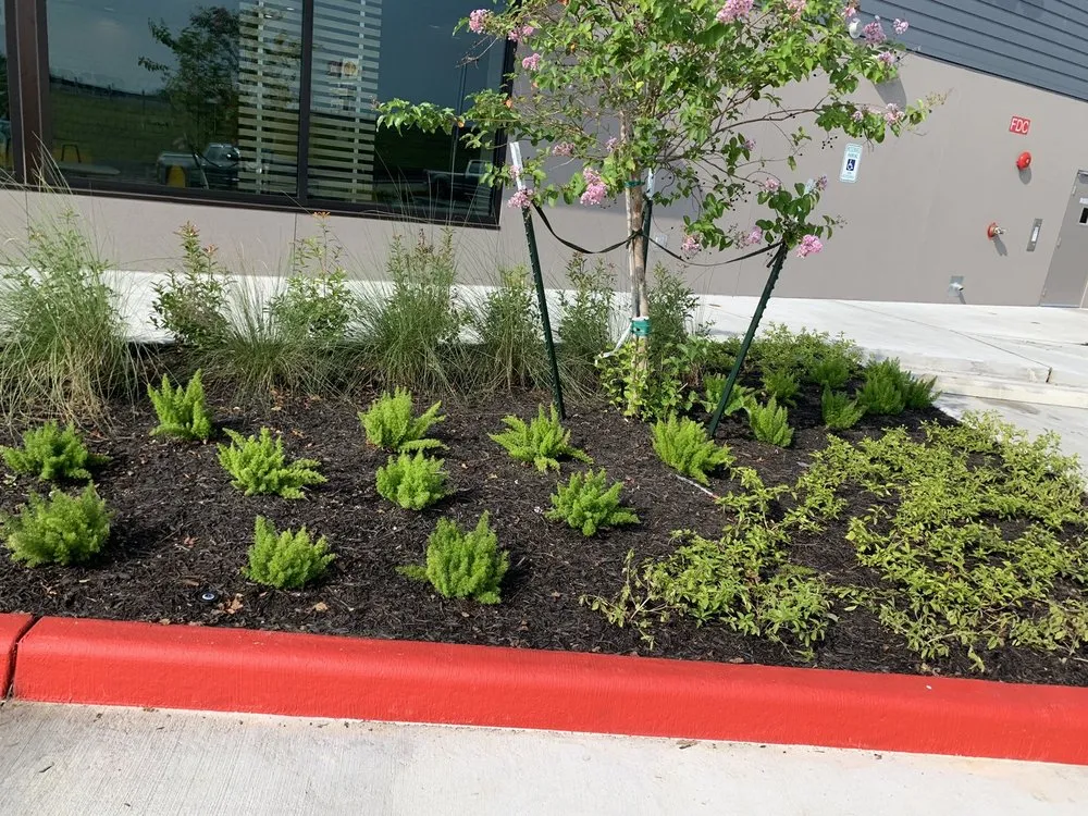 Custom lawn care service for outdoor upgrades in Galveston, TX by Edwin Landscaping