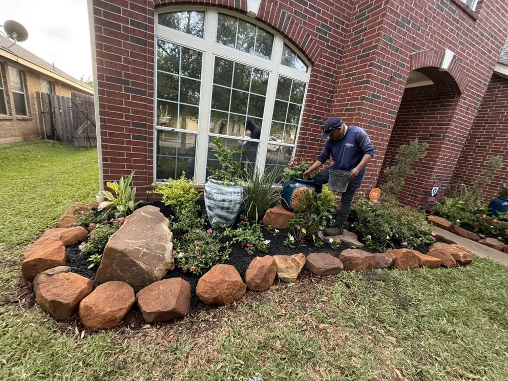 Top-rated yard maintenance for homes across Galveston, TX - Edwin Landscaping