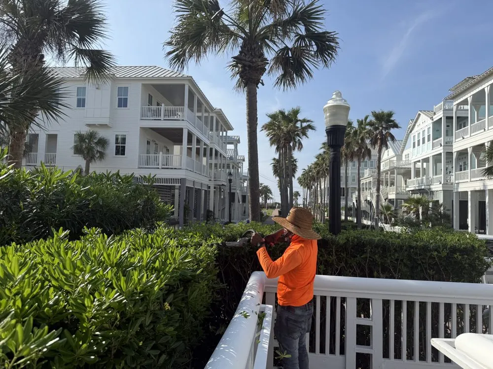 Expert landscape design experts serving Galveston, TX - Edwin Landscaping