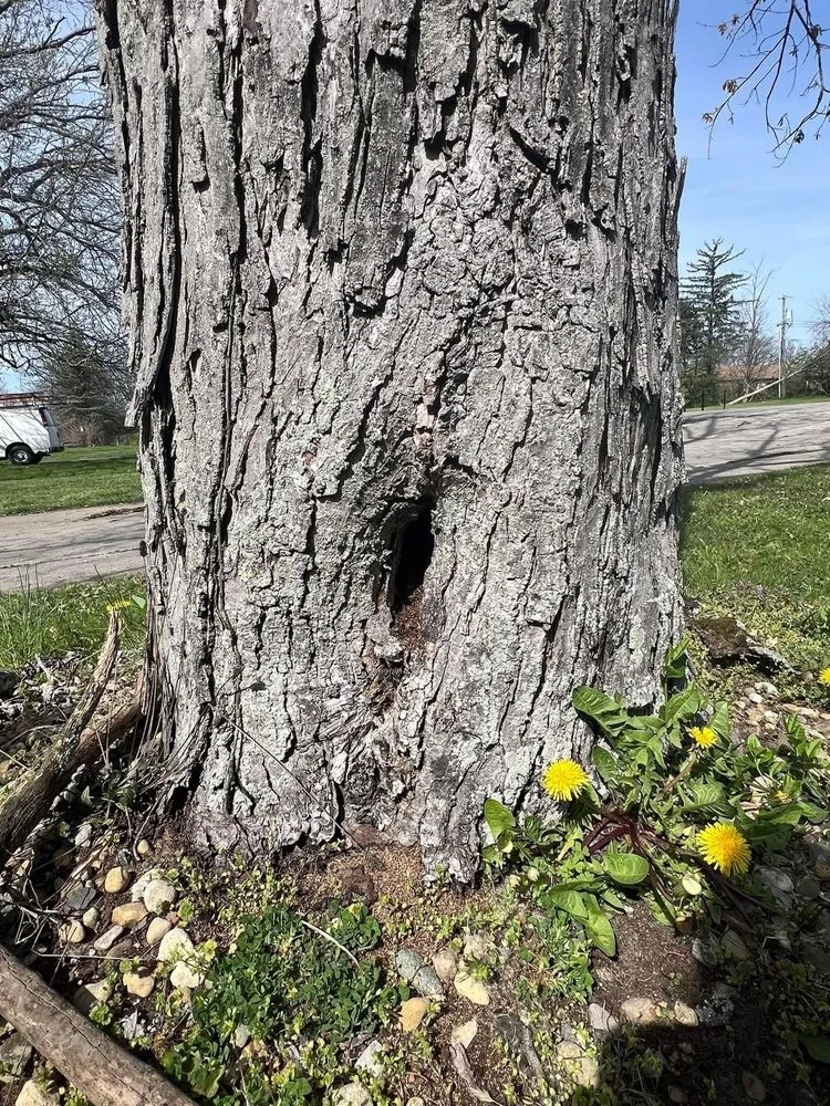 Top-rated landscape design for homes across Galveston, TX - Edwin Landscaping