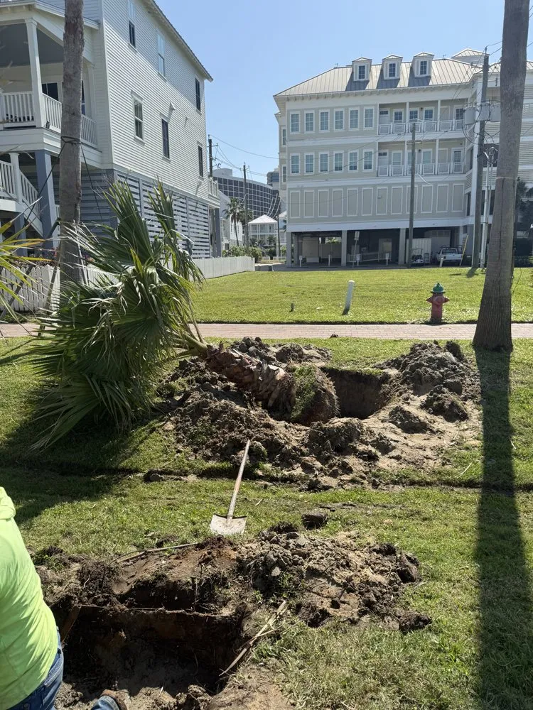 Top-rated landscape design in Galveston, TX by Edwin Landscaping