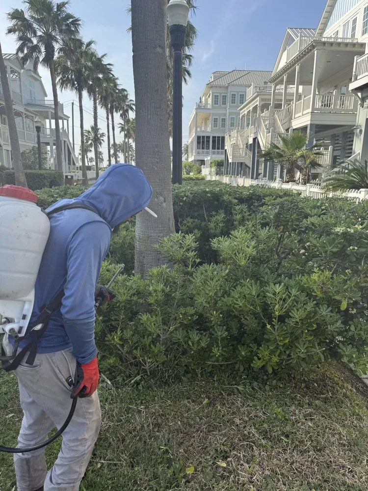 Custom residential landscaping for year-round maintenance across Galveston, TX - Edwin Landscaping