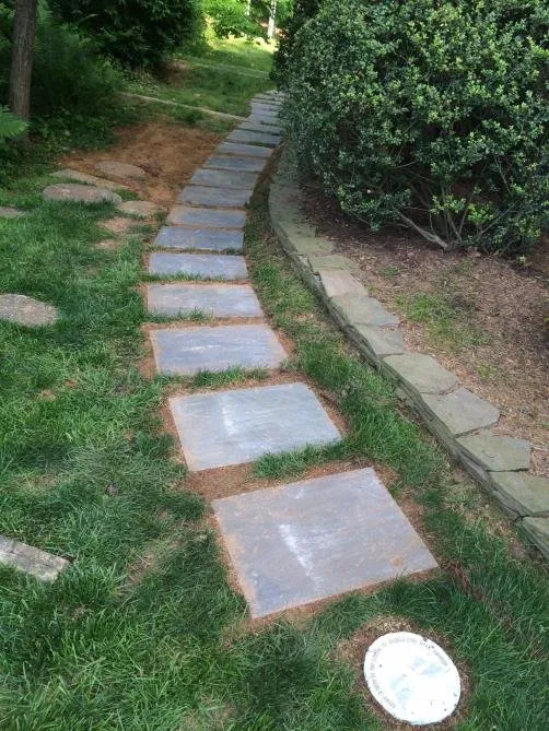 Professional lawn care service in Springfield, VA by Edwin Lawn & Landscaping