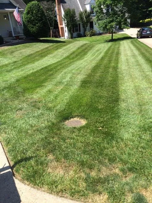 Custom lawn mowing service in Springfield, VA by Edwin Lawn & Landscaping