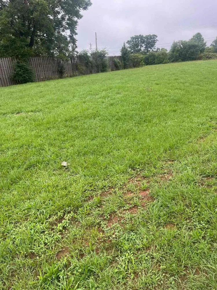 Affordable landscaping services in Winston, GA - Edwin Lawn Care