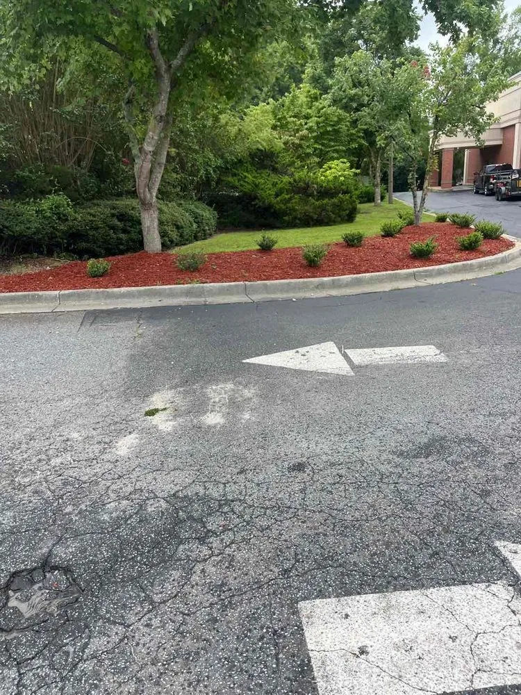 Local outdoor landscaping in Winston, GA by Edwin Lawn Care
