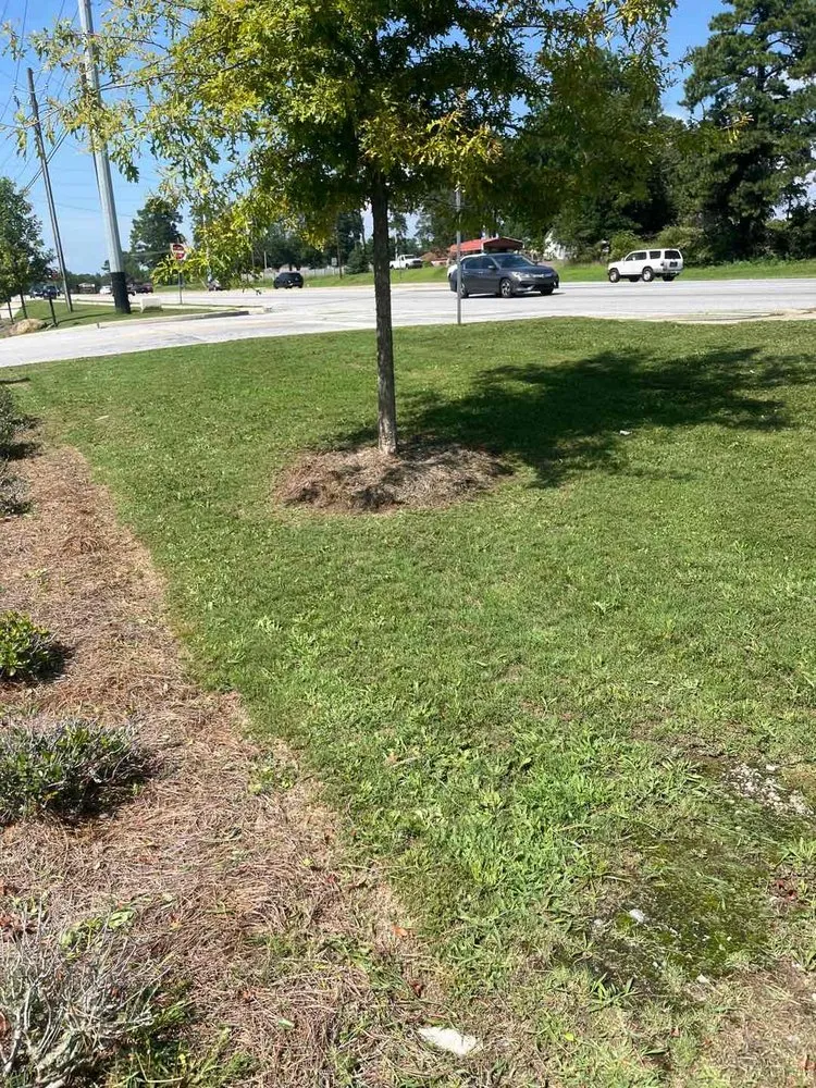 Expert residential landscaping in Winston, GA - Edwin Lawn Care