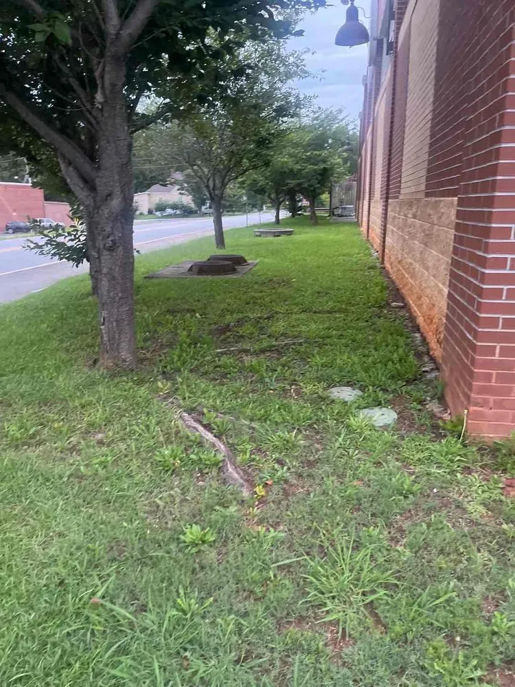 Expert yard cleanup service in Winston, GA by Edwin Lawn Care