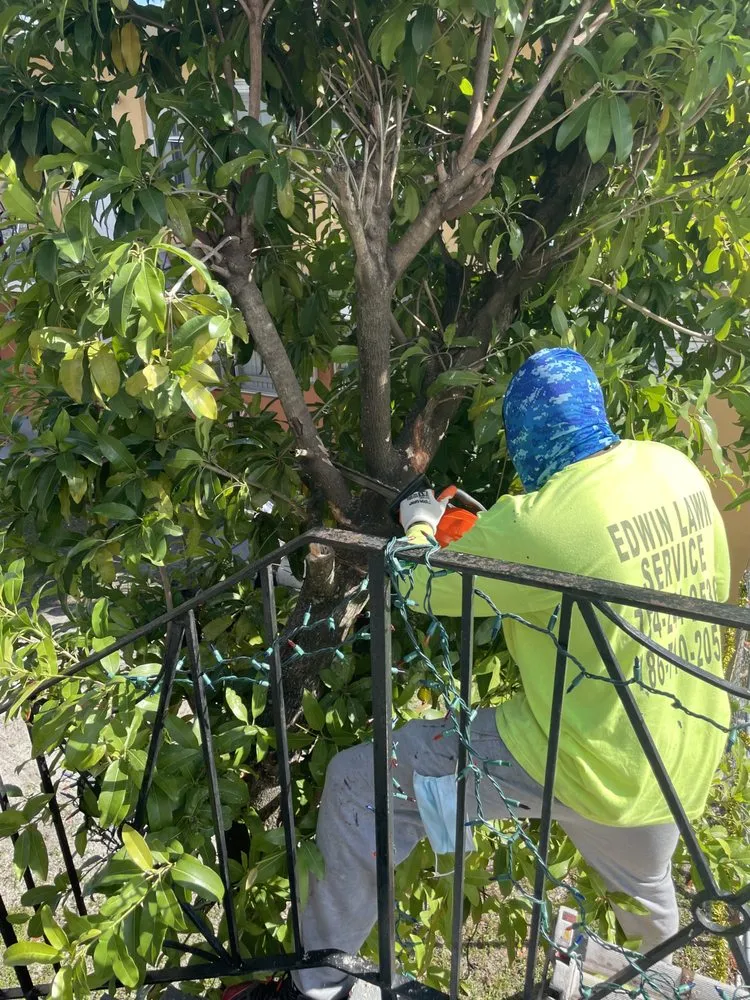 Custom lawn care service in Miami, FL by Edwin Lawn Service