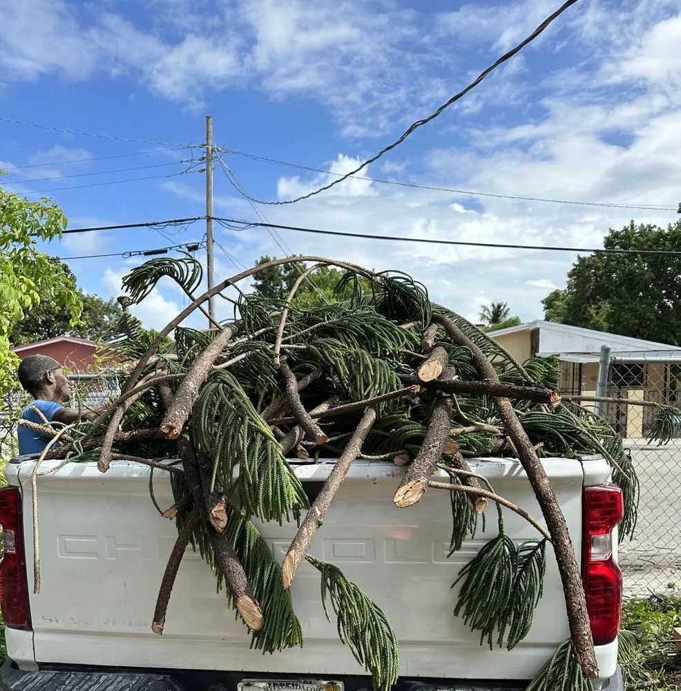Affordable yard cleanup service experts serving Miami, FL - Edwin Lawn Service