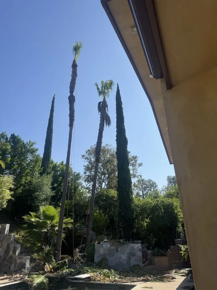 Top-rated landscape design in Reseda, CA - Edwin M Landscaping &Maintenance