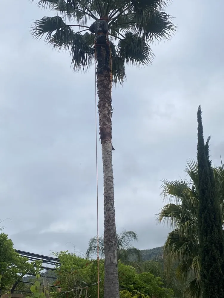 Professional lawn care service in Reseda, CA - Edwin M Landscaping &Maintenance