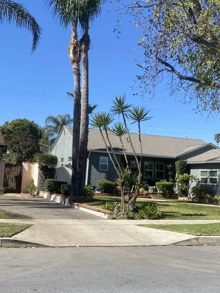 Custom yard cleanup service in Reseda, CA by Edwin M Landscaping &Maintenance