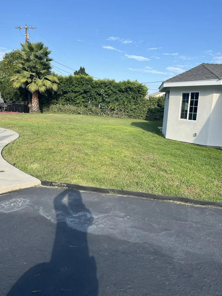 Trusted lawn care service for outdoor upgrades across Reseda, CA - Edwin M Landscaping &Maintenance