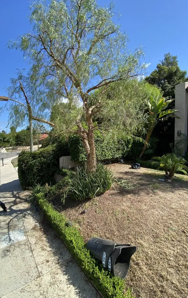 Reliable residential landscaping for homes across Reseda, CA - Edwin M Landscaping &Maintenance