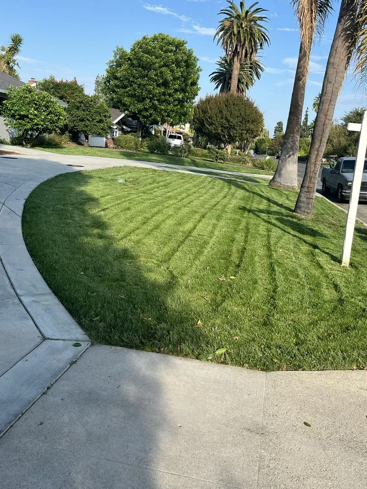 Professional landscape design in Reseda, CA by Edwin M Landscaping &Maintenance