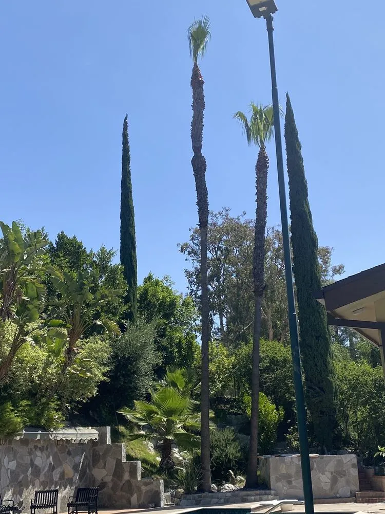 Reliable yard cleanup service for outdoor upgrades in Reseda, CA by Edwin M Landscaping &Maintenance