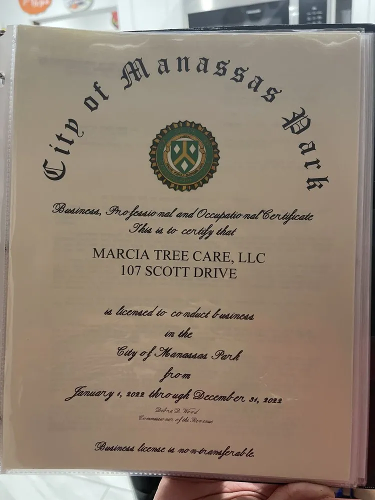 Reliable yard cleanup service for residential properties in Manassas Park, VA by Edwin Tree Services Removal