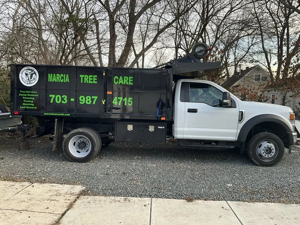 Expert yard maintenance for outdoor upgrades in Manassas Park, VA by Edwin Tree Services Removal