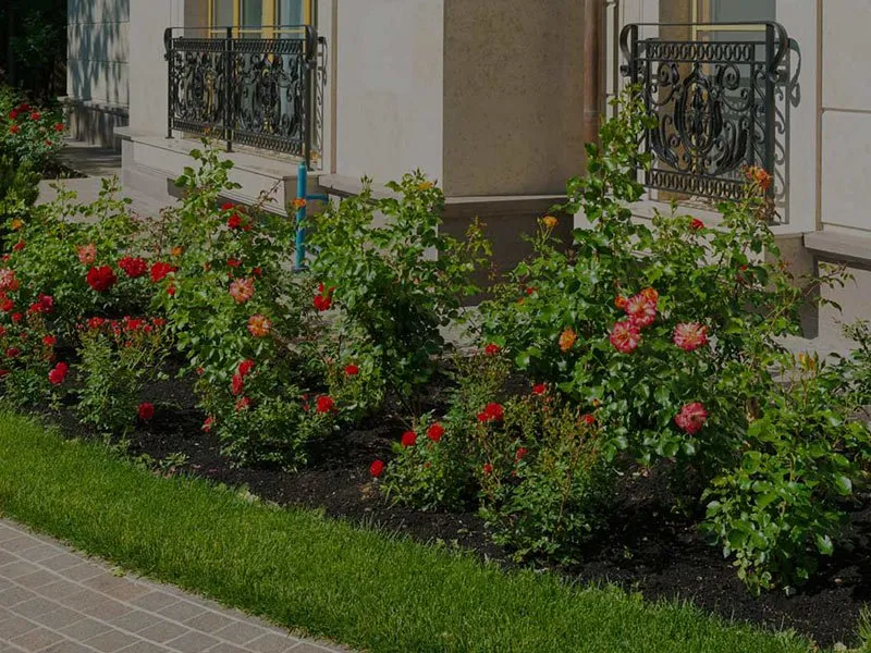 Reliable garden landscaping experts serving Manassas Park, VA - Edwin Tree Services Removal