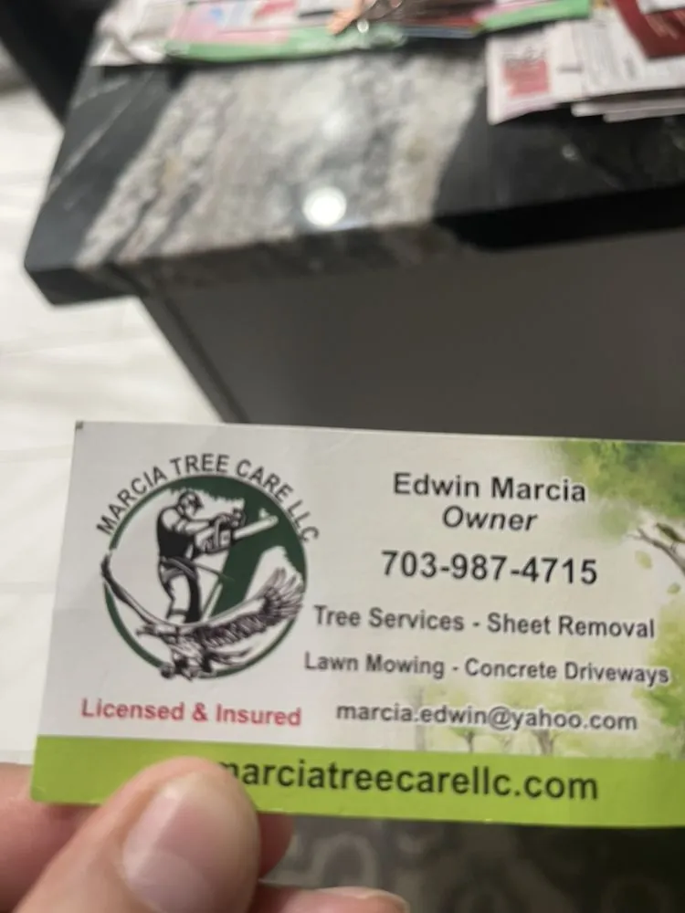 Local outdoor landscaping for beautiful yards across Manassas Park, VA - Edwin Tree Services Removal