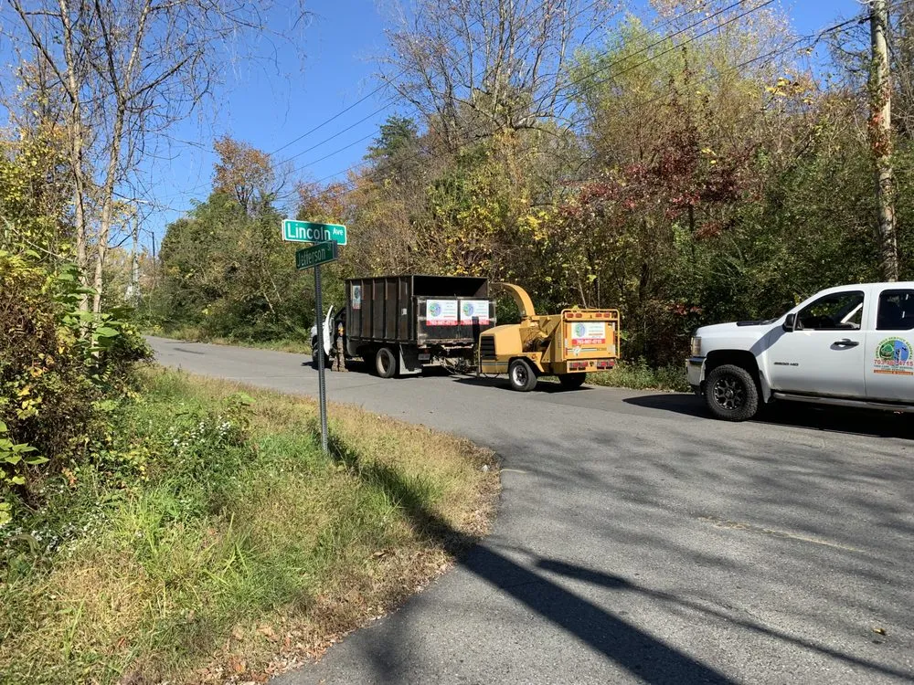 Trusted yard maintenance with custom design in Manassas Park, VA by Edwin Tree Services Removal