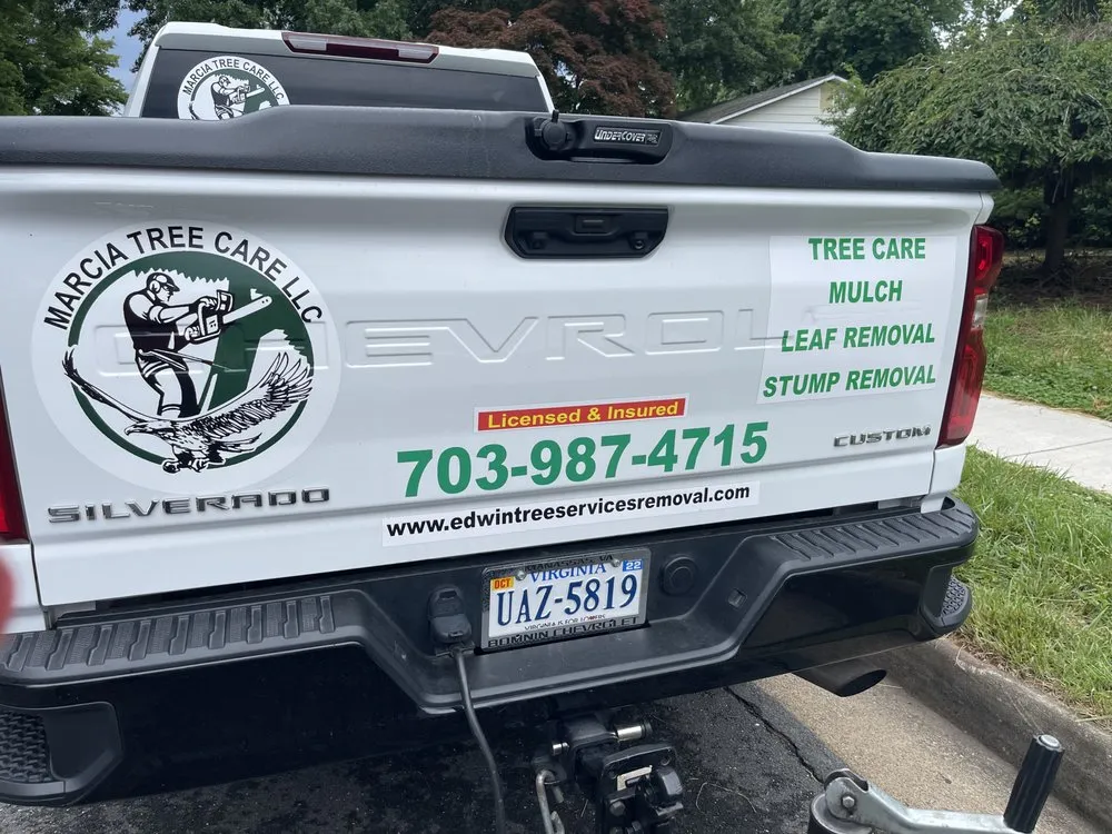 Custom outdoor landscaping experts serving Manassas Park, VA - Edwin Tree Services Removal