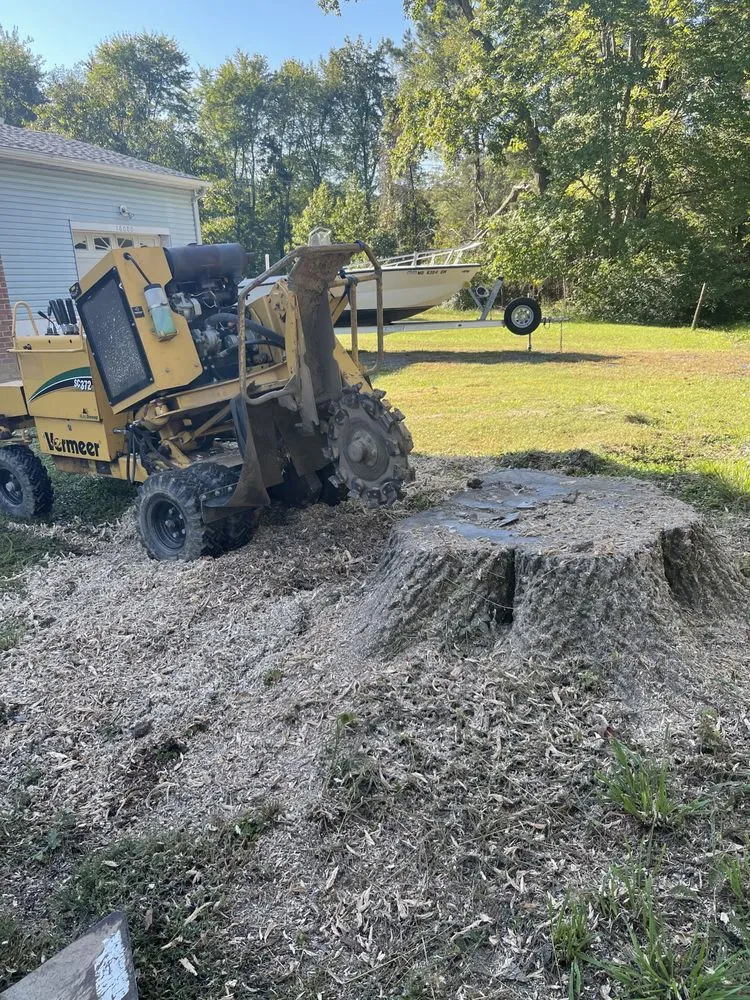 Local yard cleanup service experts serving Manassas Park, VA - Edwin Tree Services Removal