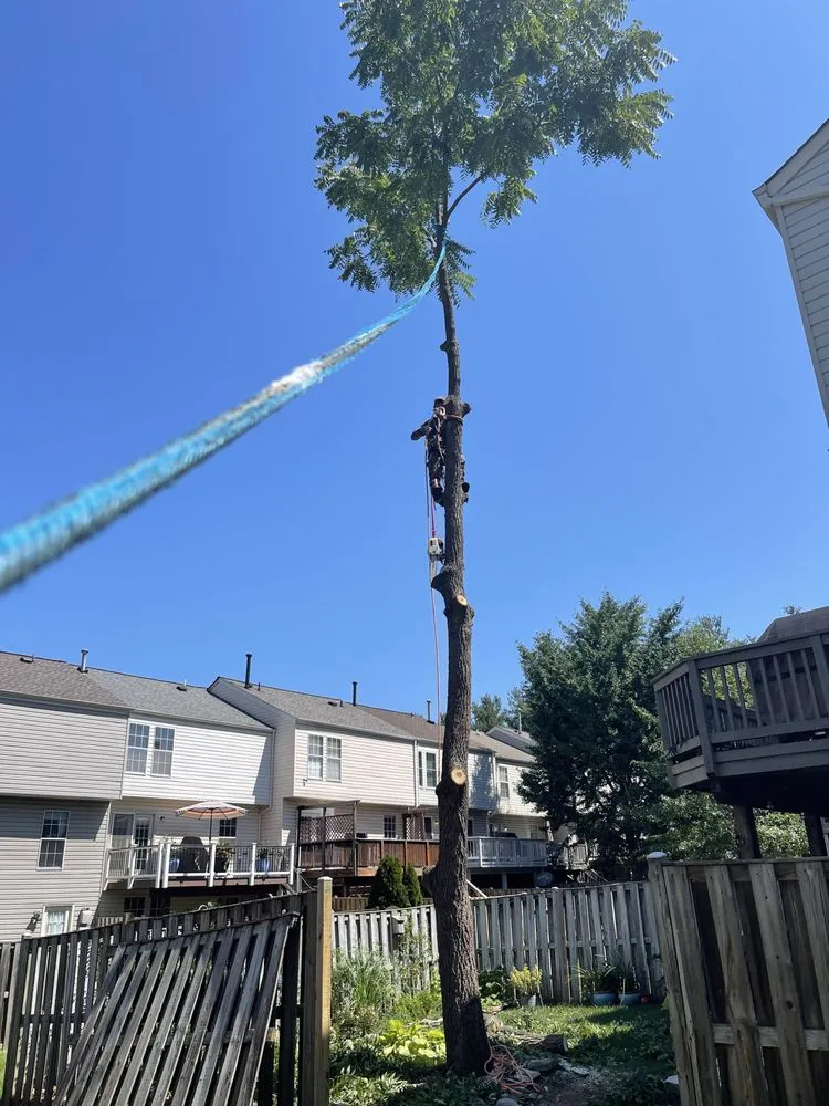 Affordable residential landscaping experts serving Manassas Park, VA - Edwin Tree Services Removal
