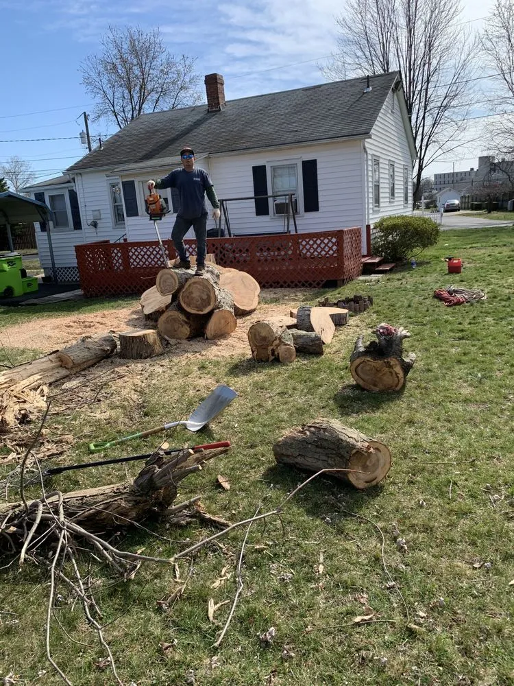 Local lawn mowing service for year-round maintenance in Manassas Park, VA by Edwin Tree Services Removal