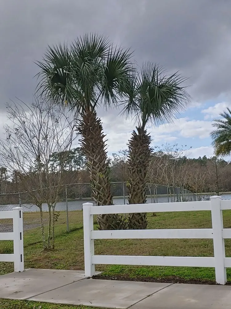 Professional lawn care service experts serving Union Park, FL - Edwin's Grand Slam Lawn Care